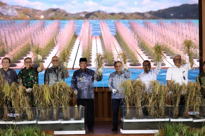 
 Pimpin GNPIP 2025, H.  Muhidin: Kalsel Siap Jadi Lumbung Pangan Nasional