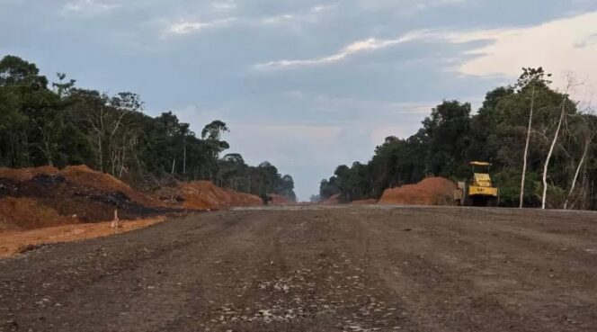 
 Telan Dana Jumbo Hingga Rp550 Miliar, Pemprov Kalsel Terus Kebut Jalan Lintas Tengah Pulau Laut