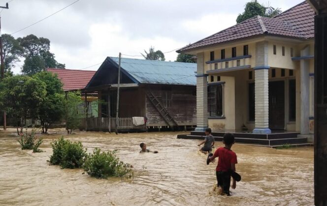 
 Foto: Lentera Kalimantan
