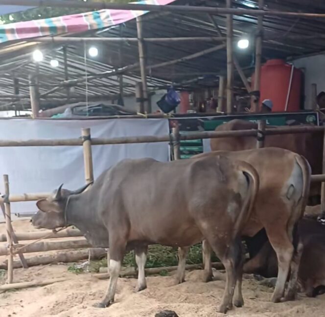 
 Ratusan Dapur Umum Diawasi, Keamanan Pangan Jamaah 5 Rajab Dijamin