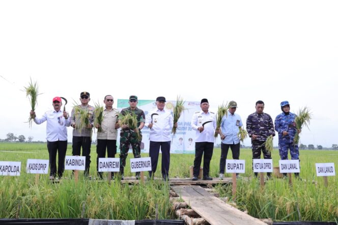 
 Surplus Beras 1,2 Juta Ton, Kalsel Kokohkan Posisi Lumbung Pangan Regional Kalimantan