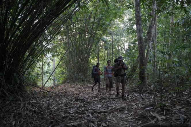 
 Foto: Outside Indonesia