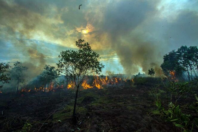 
 Antara Foto/ Bayu Pratama S