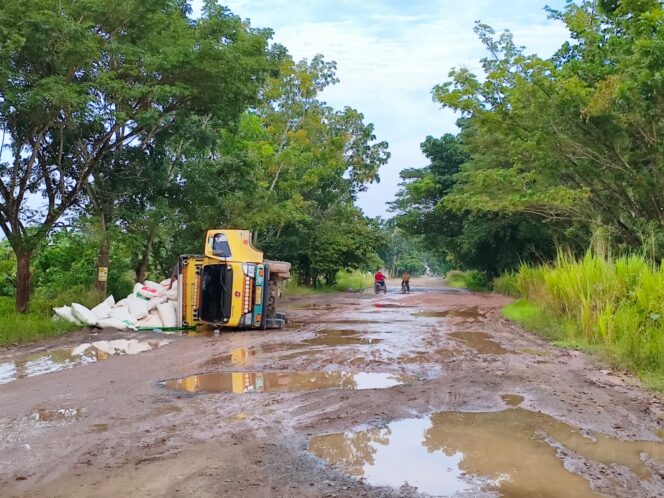 
 Foto: Habar Kalimantan