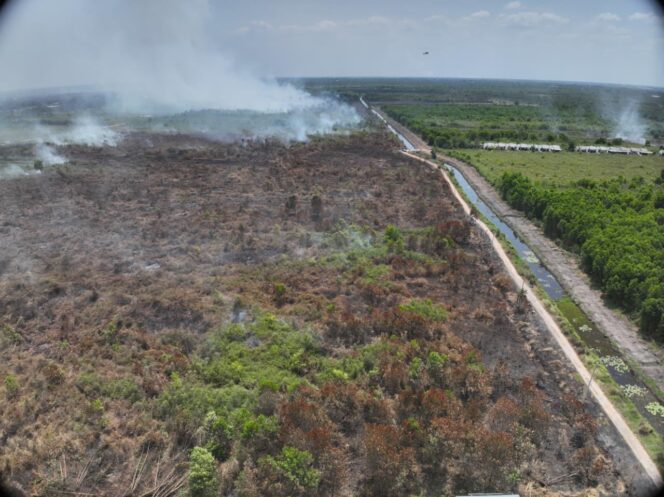 
 Tujuh Kabupaten/Kota di Kalsel Tetapkan Siaga Darurat Karhutla, 6.905 Hektare Lahan Terbakar